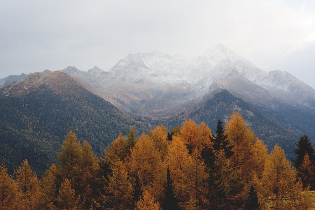 mountain and autumn leaves